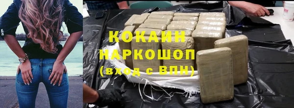 ешки Арсеньев